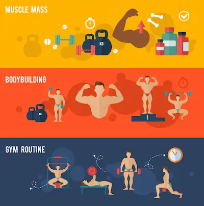 Infografía de grupos musculares por día