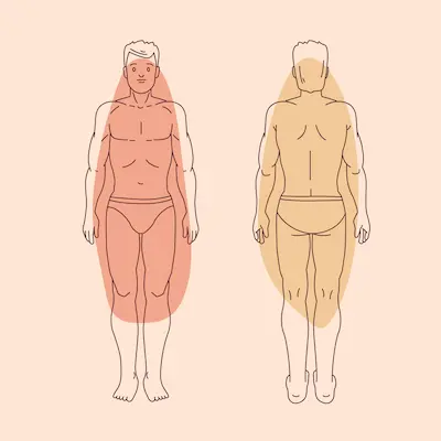 Infografía de cuerpo humano con zonas de grasa/músculo.