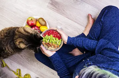 Niño comiendo plato colorido con alimentos variados